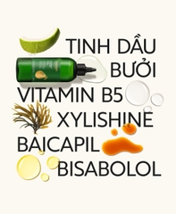 Nước dưỡng tóc tinh dầu bưởi Cocoon ngăn ngừa gãy rụng, hỗ trợ mọc tóc