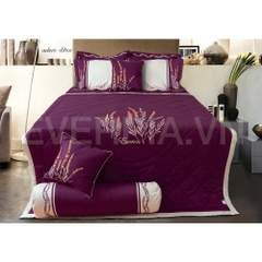 Bộ Everon Es1609 (còn ga phủ 160, chăn hè)