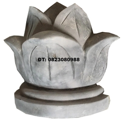 Búp sen số 4