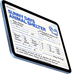 Apple iPad Gen 11 10.9 (2025)