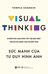 Sức Mạnh Của Tư Duy Hình Ảnh - Visual Thinking