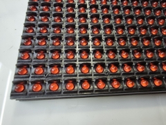 P10 màu đỏ mắt DIP NP - Độ sáng cao