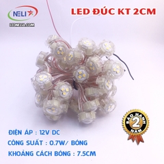LED đúc F20 đơn sắc điện áp 12V, chuyên làm chữ quảng cáo.