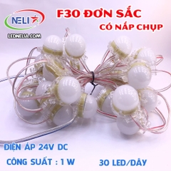 LED F30 đơn sắc điện áp 24V có nắp chụp