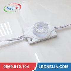 Led rọi Nataya công suất 1.5W làm biển hút nổi