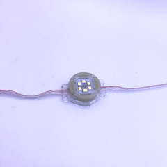 LED F30 đơn sắc điện áp 24V (đầu trong) trang trí viền biển quảng cáo, tòa nhà.