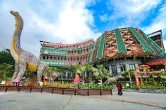 Tour 1 Ngày Phiêu Lãng Thiên Nhiên