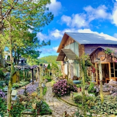 Tour 1 Ngày Chạm Nhẹ Thiên Nhiên Giữa Lòng Đà Lạt
