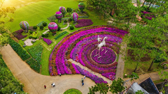 Tour 2N1D Quẩy Cuồng Nhiệt Chơi Thả Ga