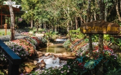 Tour 4N3D Từ Buôn Mê Thuột Đến Đà Lạt