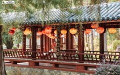Tour 5N4D Rừng Và Biển