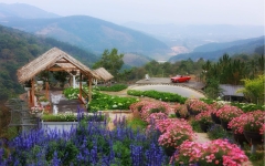 Tour 3N2D Trải Nghiệm Cảnh Đẹp Trên Cao Nguyên