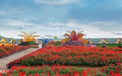 Tour 3N2D Trải Nghiệm Cảnh Đẹp Trên Cao Nguyên