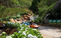 Tour 3N2D Trải Nghiệm Cảnh Đẹp Trên Cao Nguyên