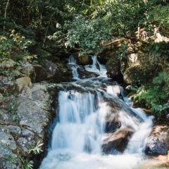 Tour 1 Ngày Chạm Nhẹ Thiên Nhiên Giữa Lòng Đà Lạt