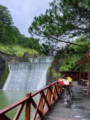Tour 5N4D Rừng Và Biển