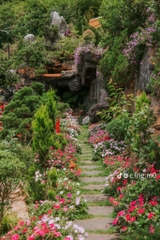 Tour 2N1D Tâm Về Miền Mộng Mơ