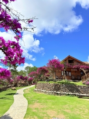 Tour 3N2D Thanh Xuân Trên Cao Nguyên