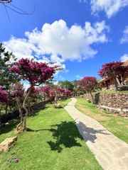 Tour 4N3D Tâm Về Miền Cao Nguyên