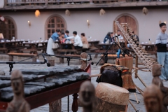 Tour 4N3D Đi Đà Lạt