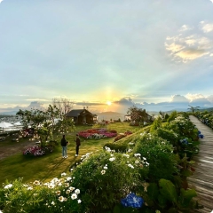 PHAN RANG - ĐÀLẠT 2N1Đ . HÀNH TRÌNH TRẢI NGHIỆM
