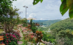 Tour 3N2D Tâm Giao Miền Mộng