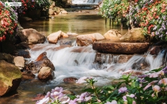 Tour 4N3D Từ Buôn Mê Thuột Đến Đà Lạt