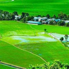 Miền Tây -Cần Thơ-Phú Quốc