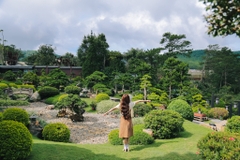 Tour 3N2D: Đi Khắp Bản Đồ Đà Lạt