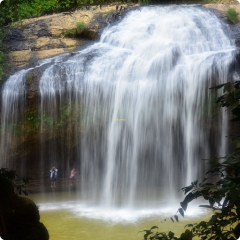 Tour Ngoại Thành Đà Lạt | Khám Phá Thiên Nhiên & Văn Hóa Trong 1 Ngày