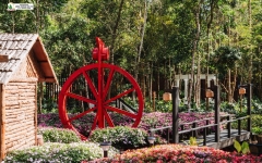 Tour 4N3D Từ Buôn Mê Thuột Đến Đà Lạt