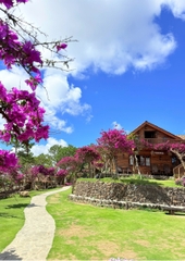 Tour 5N4D Chơi Thả Ga Biển Và Núi Rừng