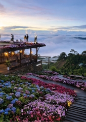 Tour 4N3D Tâm Về Miền Cao Nguyên