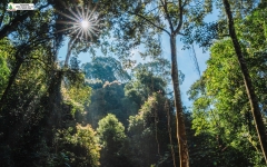 Tour 4N3D Từ Buôn Mê Thuột Đến Đà Lạt