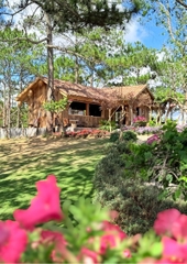 Tour 3N2D Trải Nghiệm Cảnh Đẹp Trên Cao Nguyên
