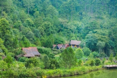 Tour 2N1D La Cà 2 Ngày Đà Lạt