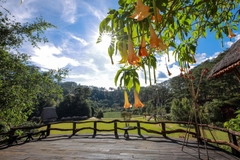 Tour 2N1D La Cà 2 Ngày Đà Lạt