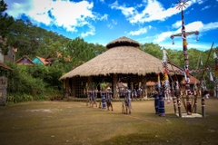 Tour 1 Ngày Làng Cù Lần