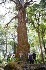 Tour 1 Ngày Làng Cù Lần