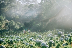 Tour 1 Ngày Làng Cù Lần