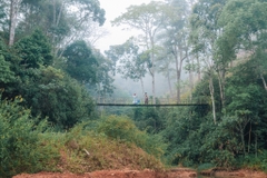 Tour 1 Ngày Làng Cù Lần