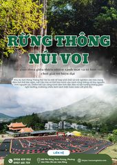 VÉ THAM QUAN TỔ HỢP VUI CHƠI GIẢI TRÍ RỪNG THÔNG NÚI VOI