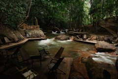 Tour 1 Ngày Phiêu Lãng Thiên Nhiên