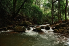 Tour 5N4D Chơi Thả Ga Biển Và Núi Rừng