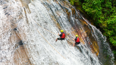 Tour 1 Ngày Phiêu Lãng Thiên Nhiên