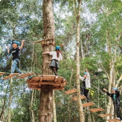 Tour 1 Ngày Chạm Nhẹ Thiên Nhiên Giữa Lòng Đà Lạt