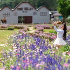 Tour Nha Trang _ Đà Lạt : Hành Trình Giao Thoa 2 Thành Phố 4N3Đ