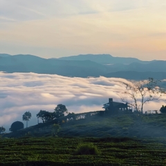 TOUR SĂN MÂY CẦU ĐẤT | TOUR NỬA NGÀY