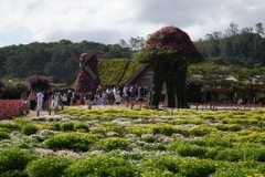 Tour 2 Ngày 1 Đêm Tham Quan và Check-in