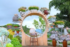 Tour 3N2D Thanh Xuân Trên Cao Nguyên